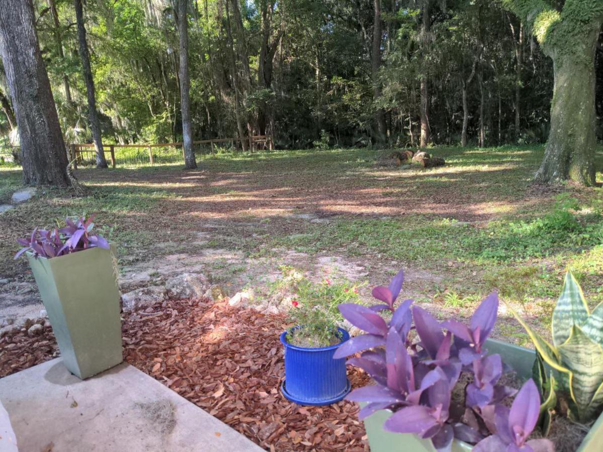 Micanopy Countyline Cottages Εξωτερικό φωτογραφία